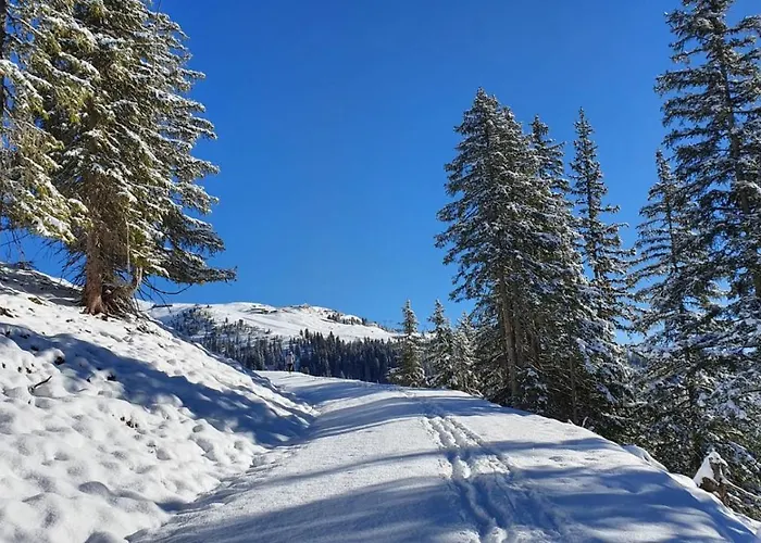 Guest house Anja's Schoenblick - Gerlos